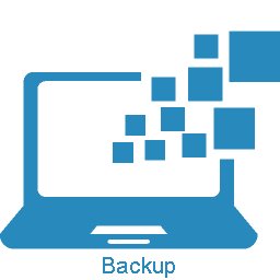 Image of a computer backup